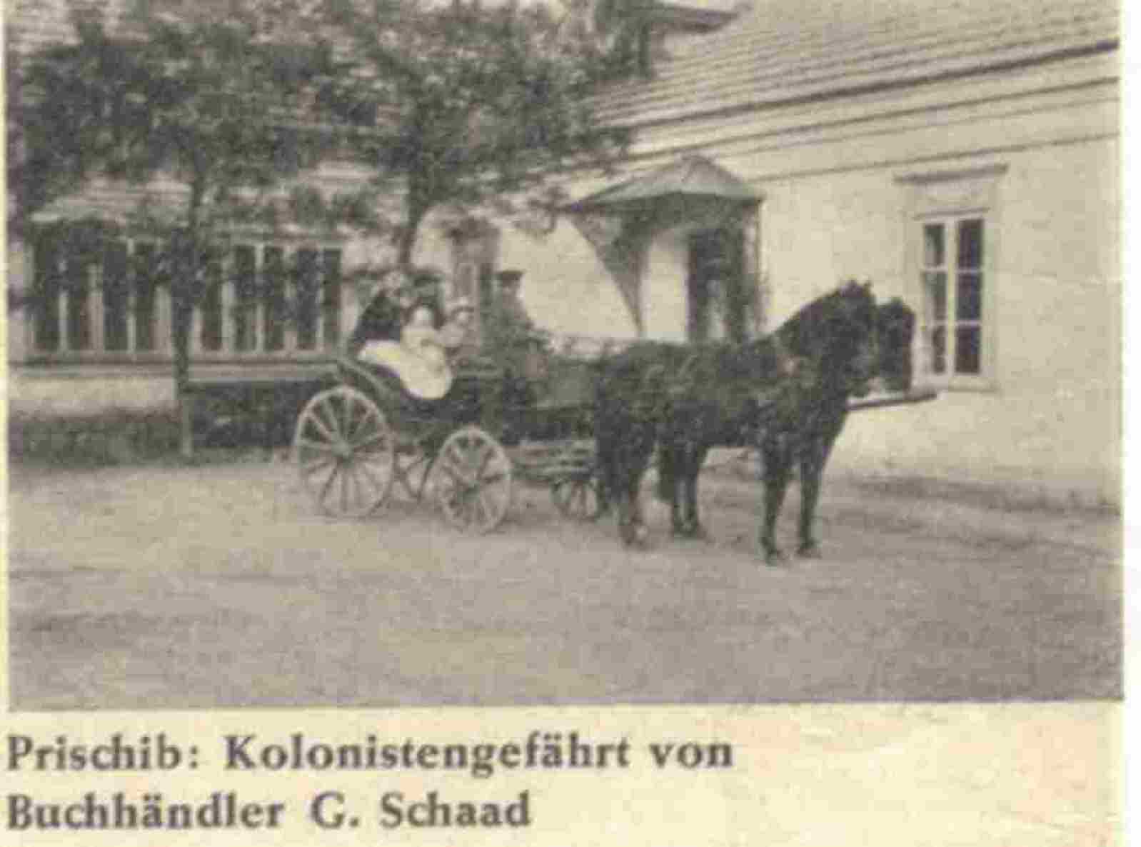 Kolonisten Pferdegespann. Prischib, 1916.