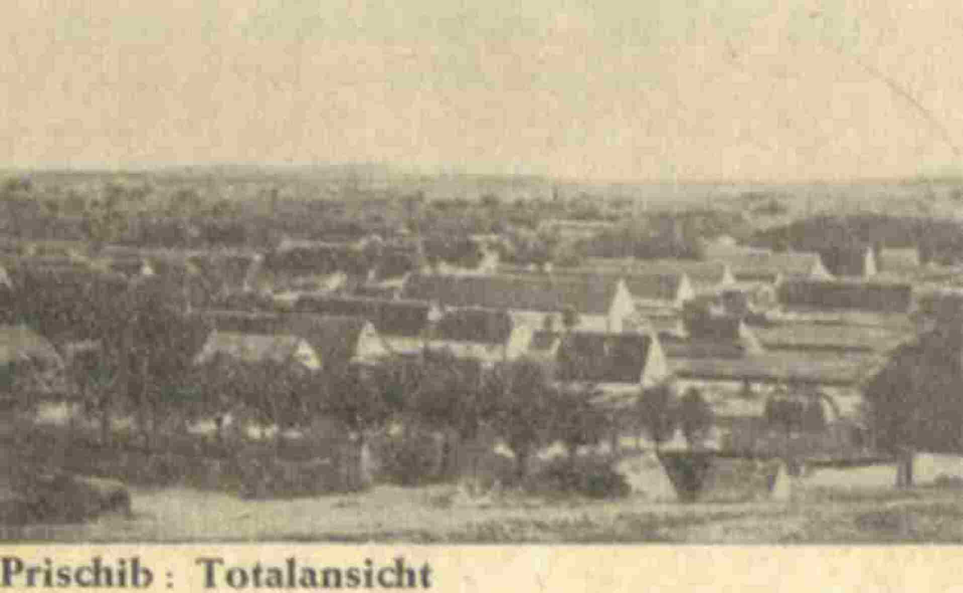 Prischib, Totalansicht. Prischib, 1918.